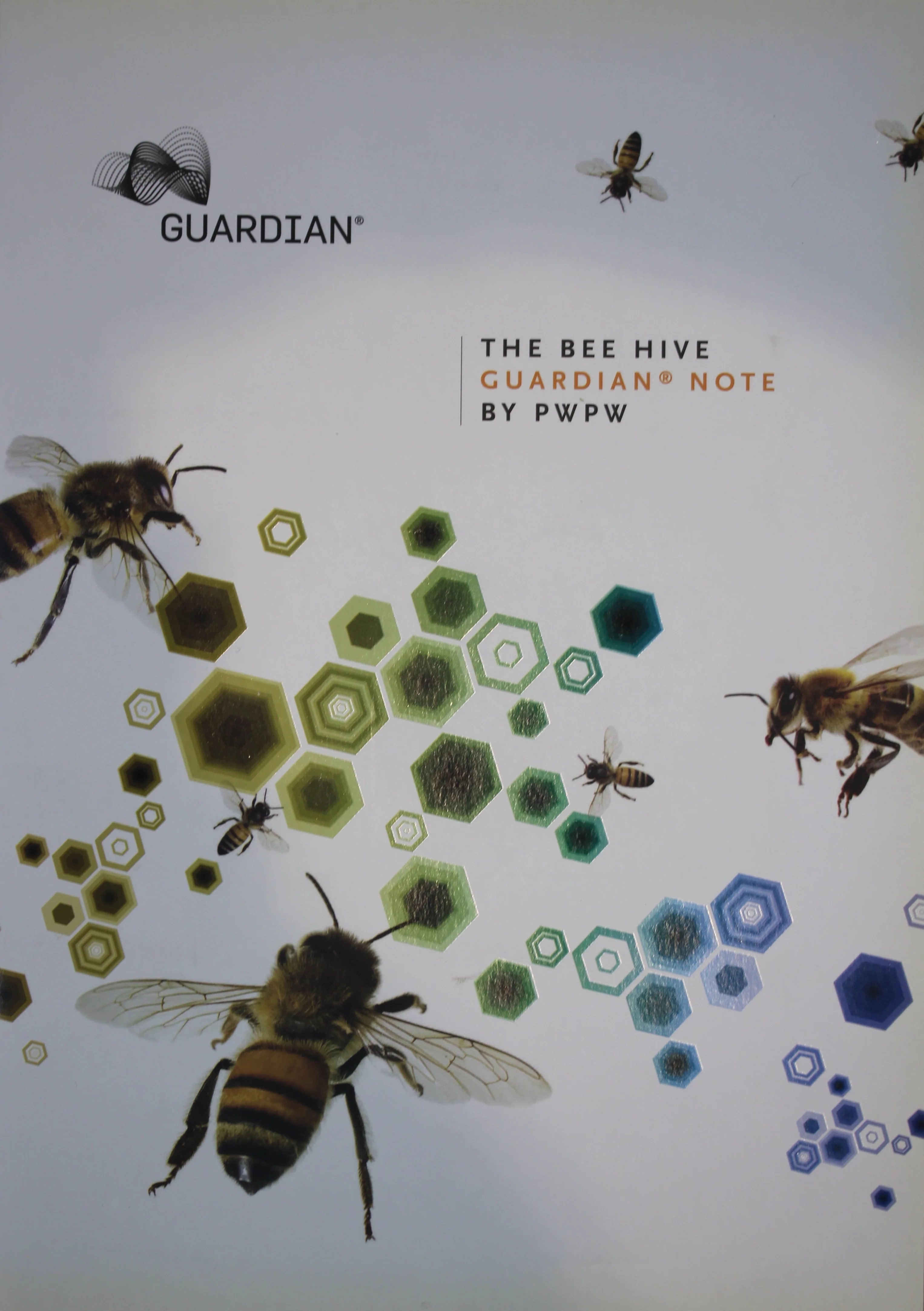 Guardian Poland Bee Hive Polymer Test Banknote Pair in Folder - Image 5