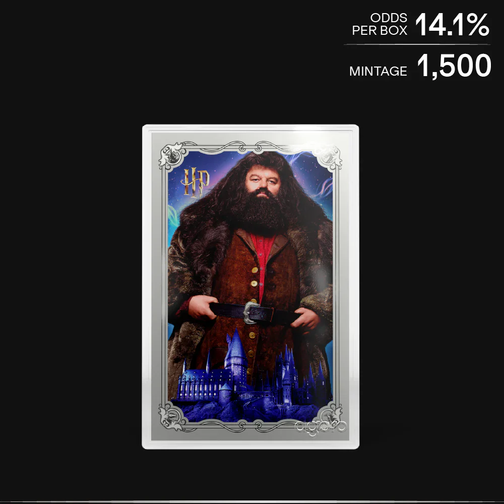 HARRY POTTER™ - 25 Years of Magic Blind Box 5g Foil Blind Box - Image 11