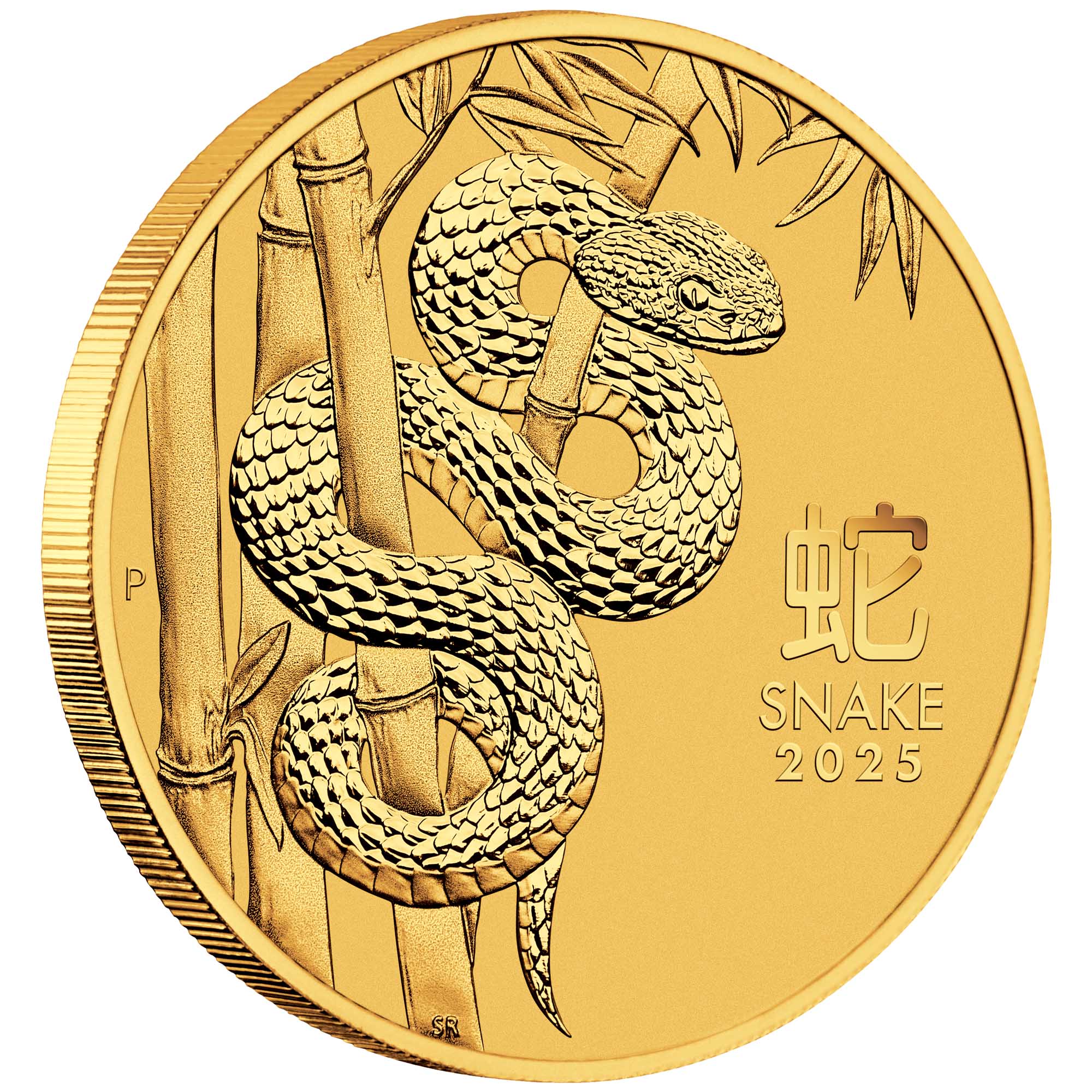 Lunar Series III 2025 Year of the Snake 1/10oz Gold Bullion Coin