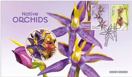 Native Orchids Medallion Cover