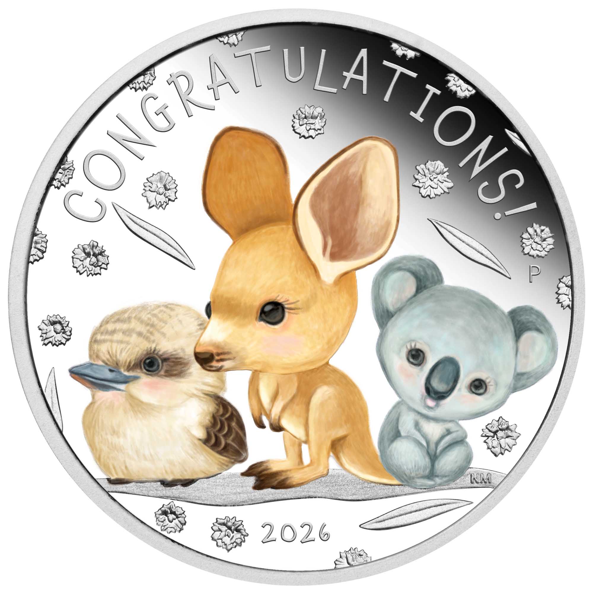 Newborn 2026 1/2oz Silver Proof Coloured Coin - Image 2