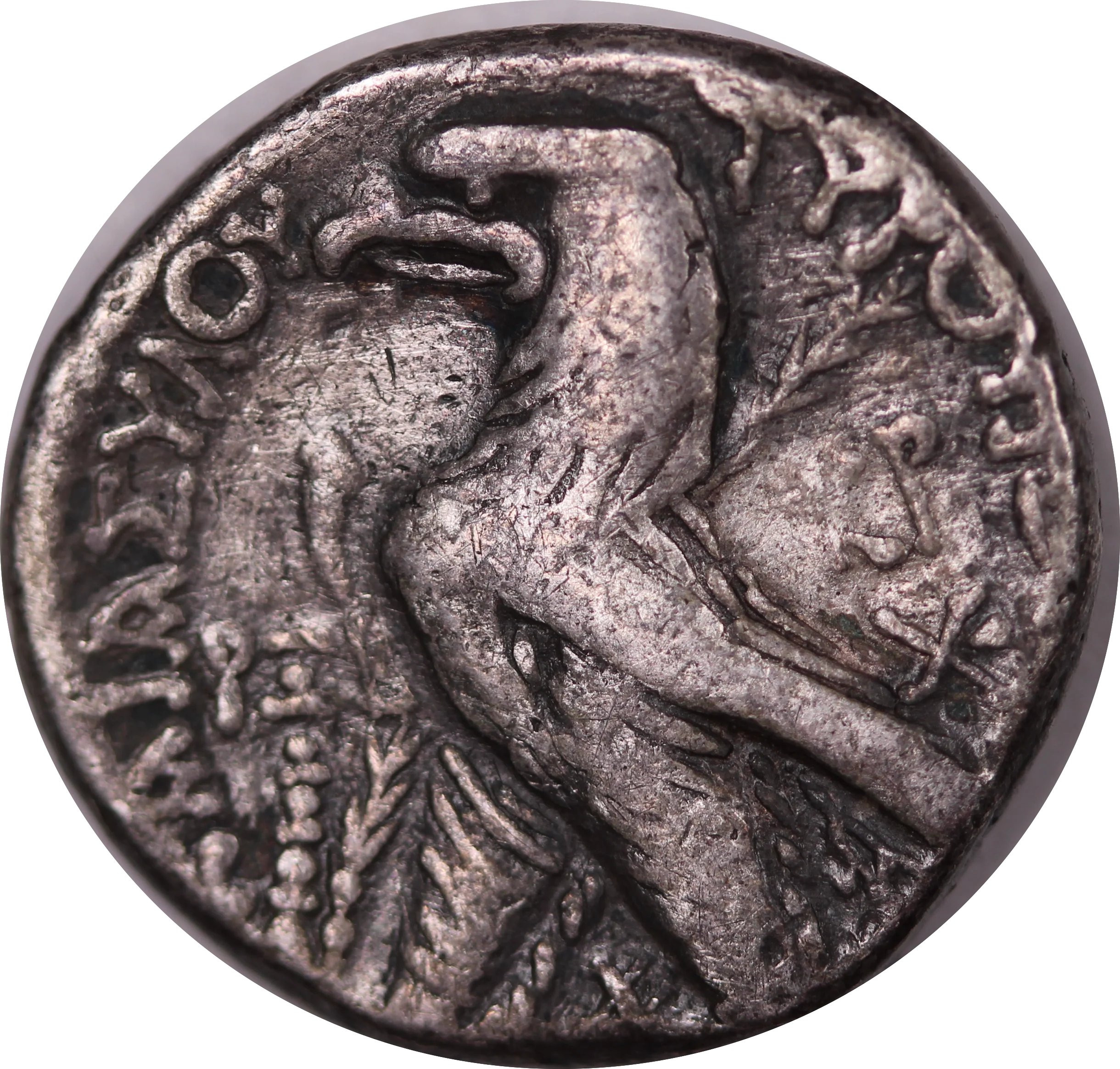 Phonecia, Tyre Half Shekel Type Year 162 VF - Image 2