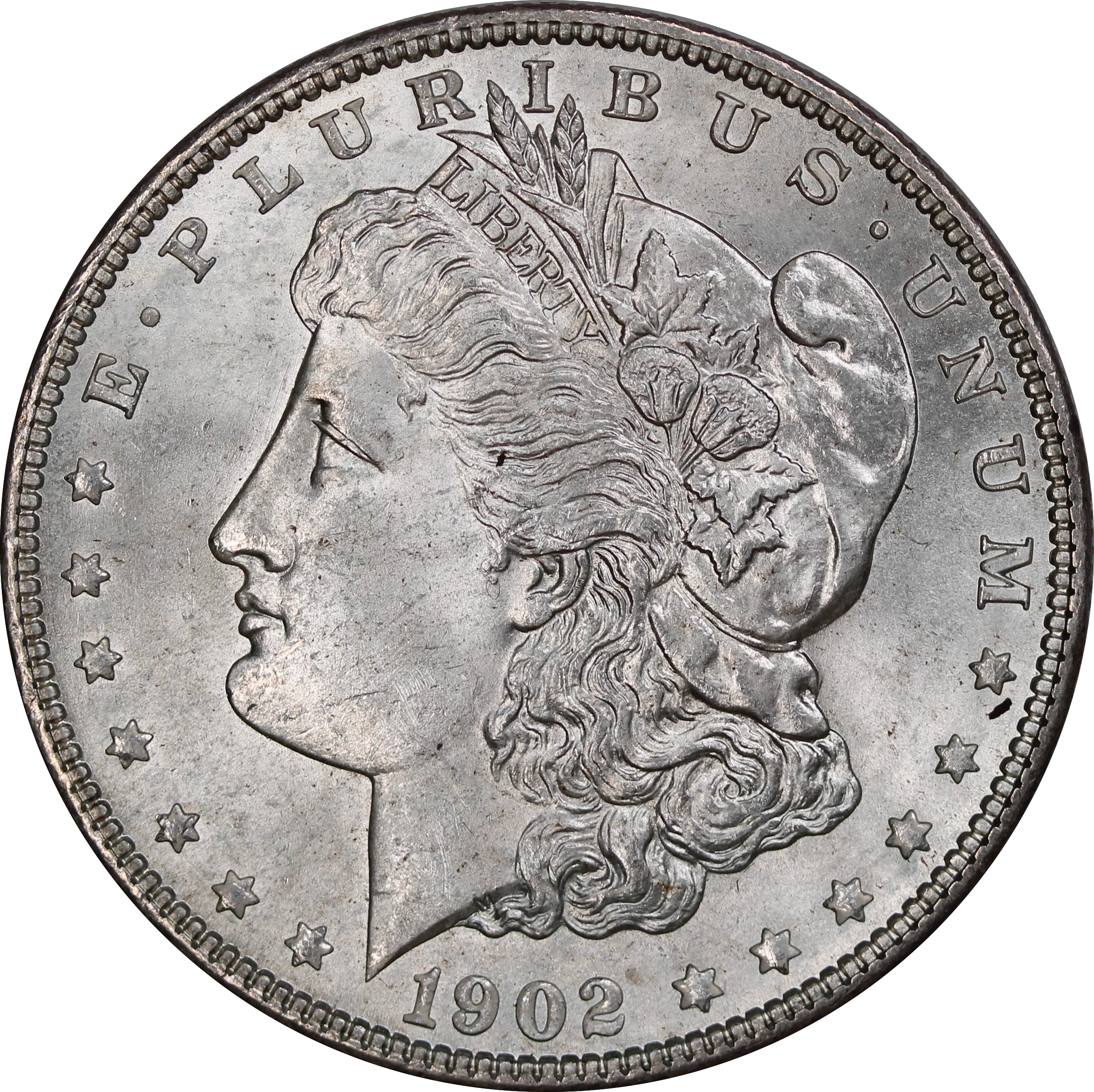 USA 1902 Morgan Silver Dollar UNC