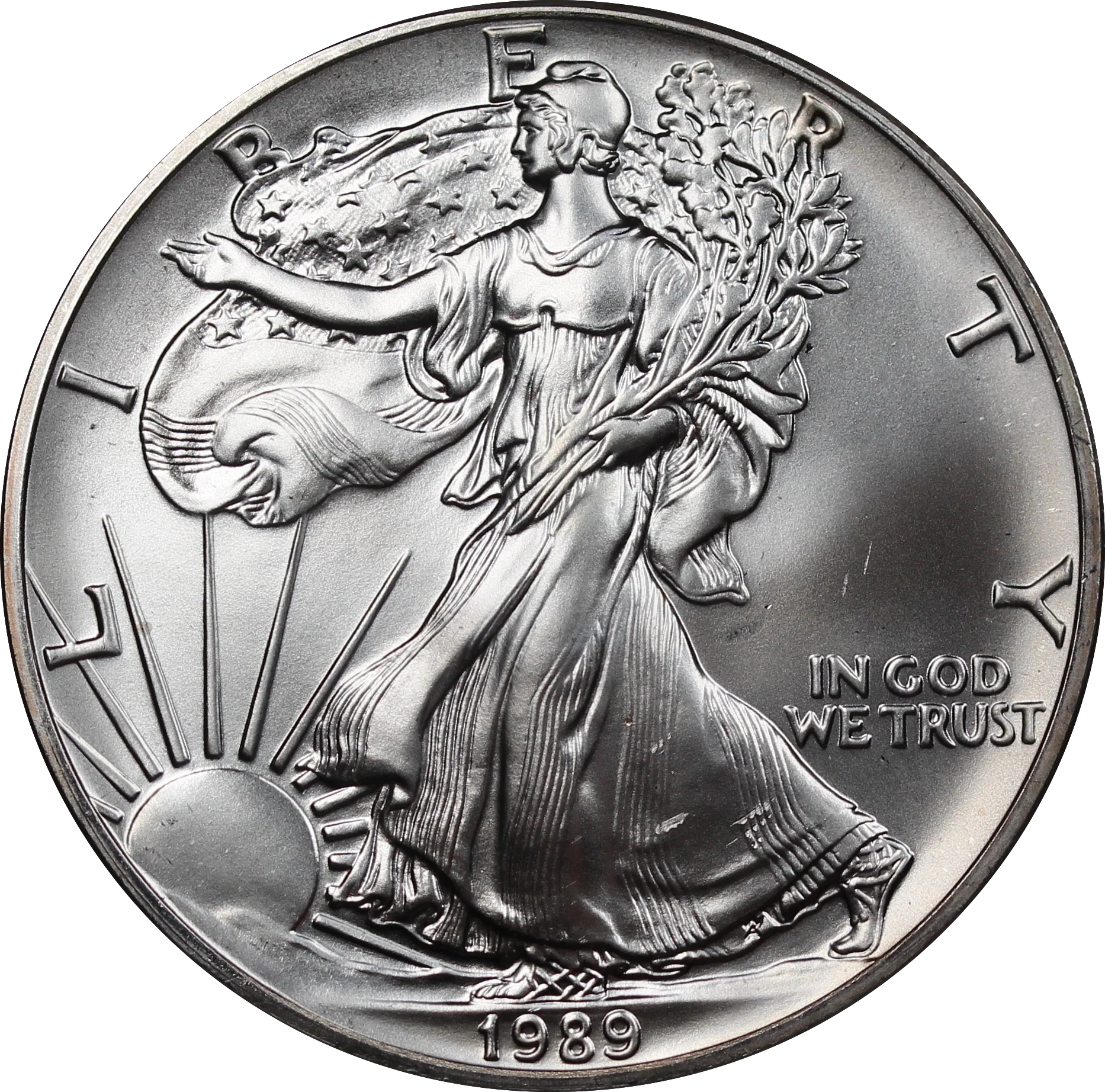 USA 1989 1oz Silver Eagle Coin