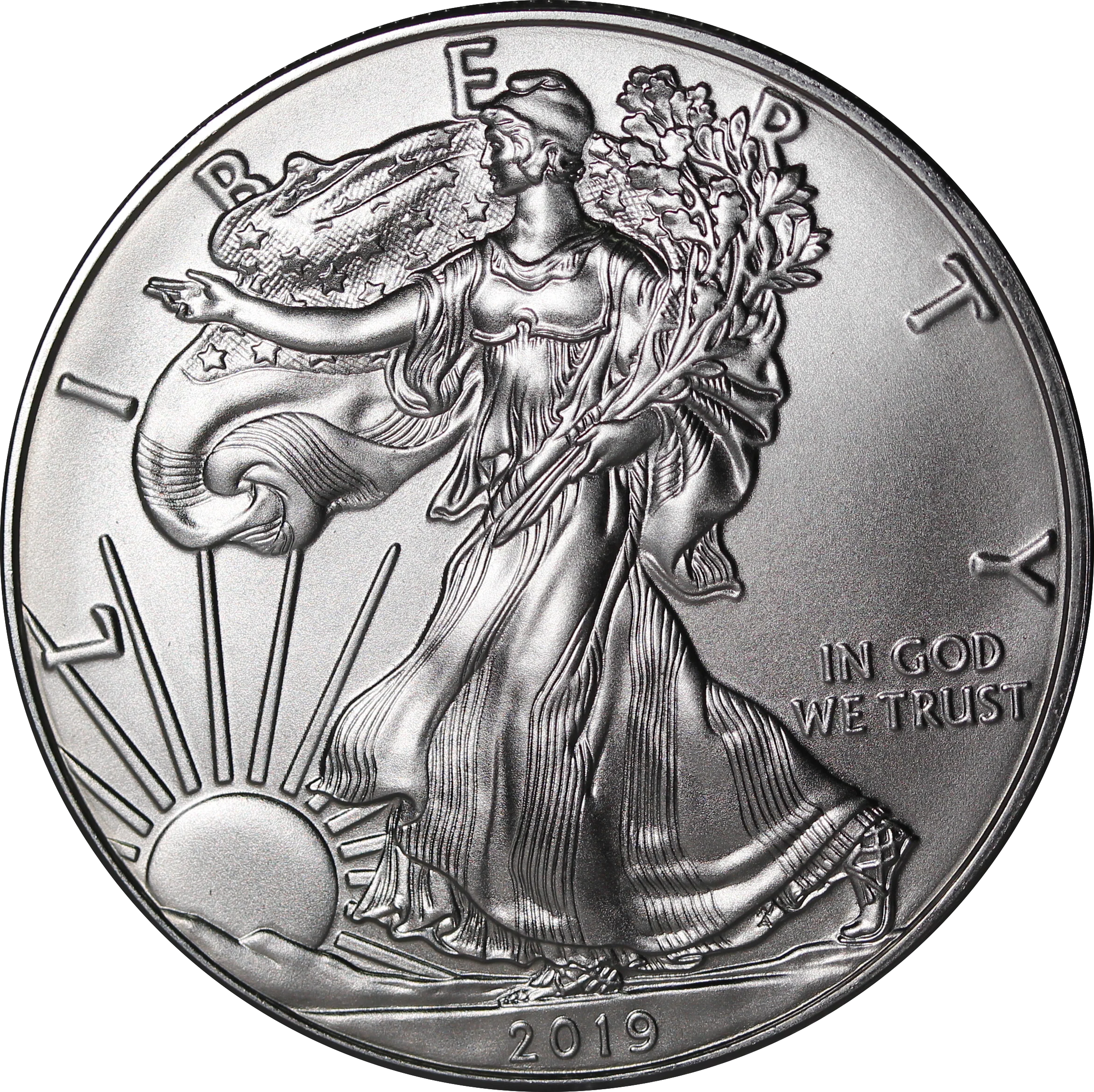 USA 2019 1oz Silver Eagle Coin